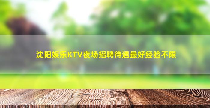沈阳娱乐KTV夜场招聘待遇最好经验不限